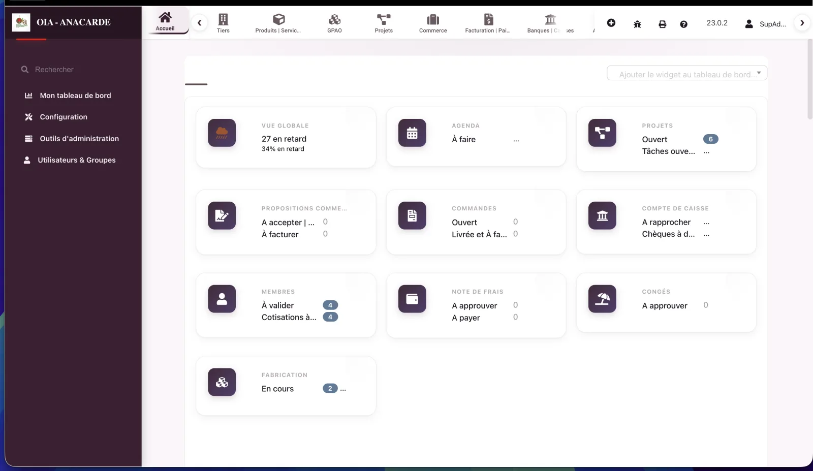 Dolibarr personnalisé, aperçu de l'interface